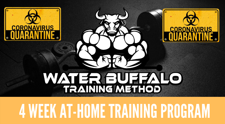 Water Buffalo Training Method: At-Home Training Program